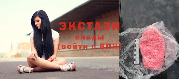 стаф Дмитров