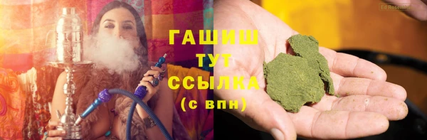 стаф Дмитров