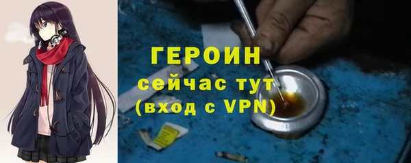 стаф Дмитров