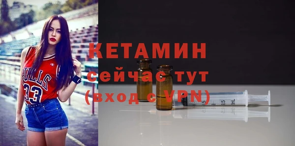 стаф Дмитров