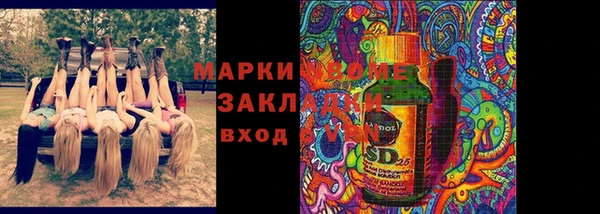 стаф Дмитров