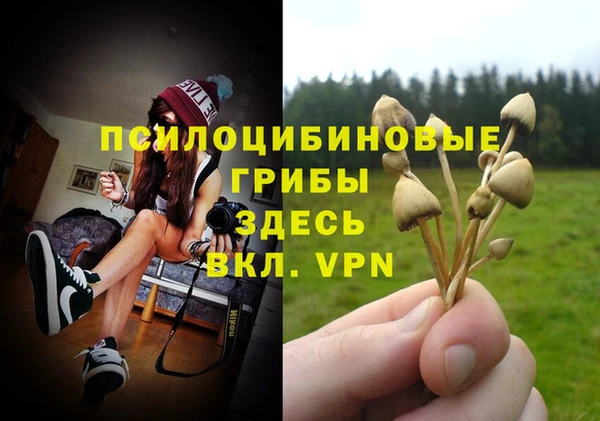 стаф Дмитров