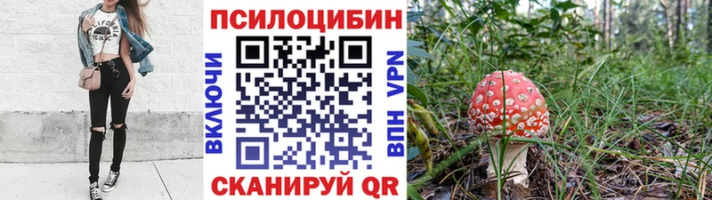 Псилоцибиновые грибы ЛСД  Димитровград 